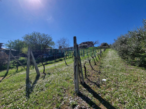 Casa singola in vendita a Fermo