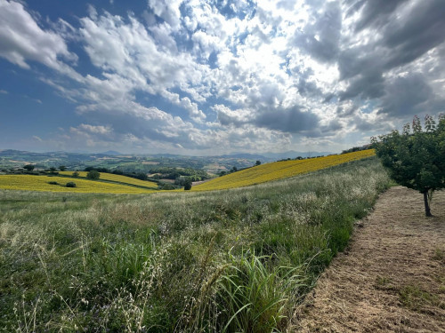 Casale in vendita a Belmonte Piceno