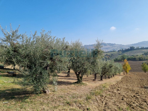 Casa singola in vendita a Servigliano