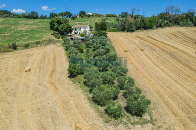 Casa singola in vendita a Servigliano