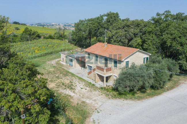  for sale in Fermo