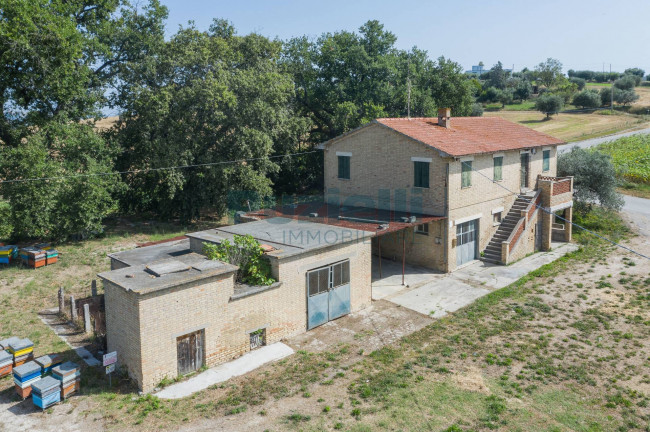  for sale in Fermo