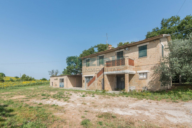  for sale in Fermo