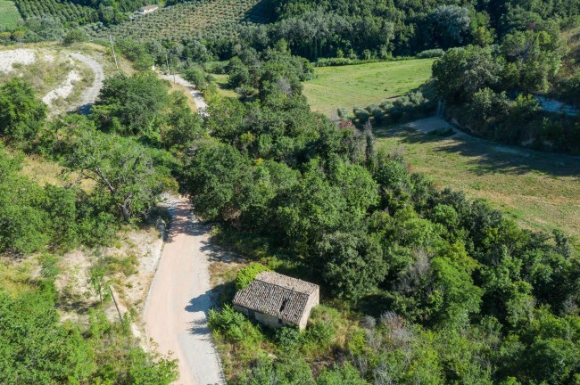 Casale in vendita a Montefiore dell'Aso