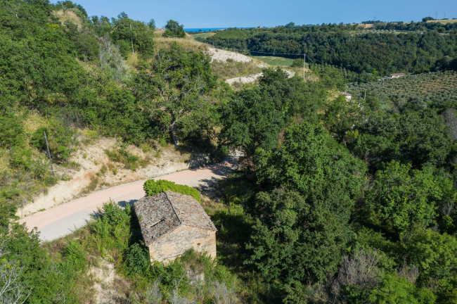 Casale in vendita a Montefiore dell'Aso