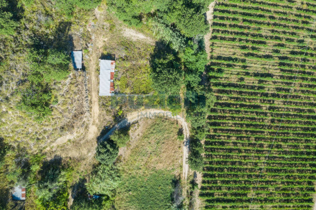 Casa singola in vendita a Montefiore dell'Aso