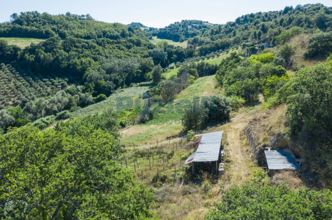 Casa singola in vendita a Montefiore dell'Aso