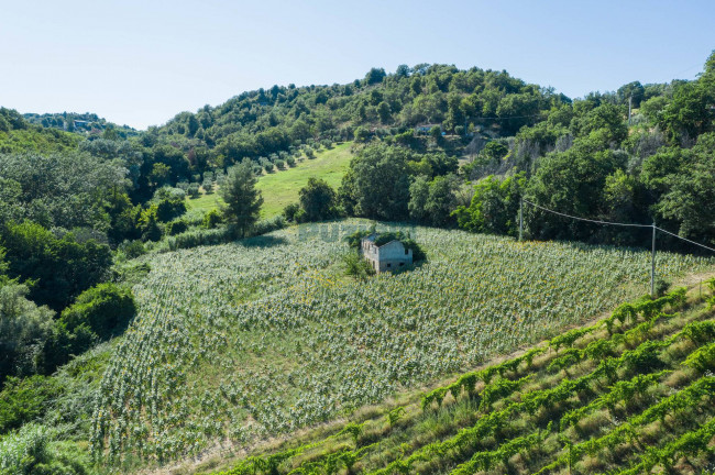 Casale in vendita a Montefiore dell'Aso