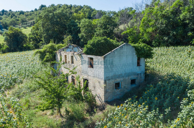 Casale in vendita a Montefiore dell'Aso