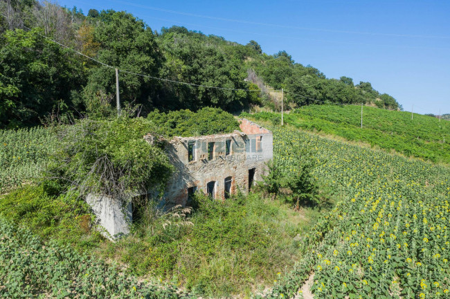 Casale in vendita a Montefiore dell'Aso