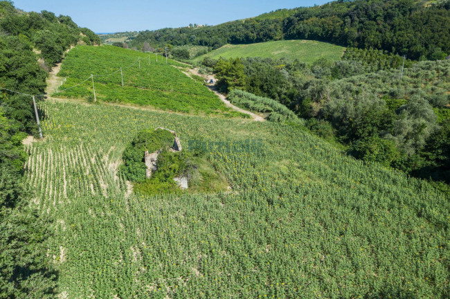 Casale in vendita a Montefiore dell'Aso