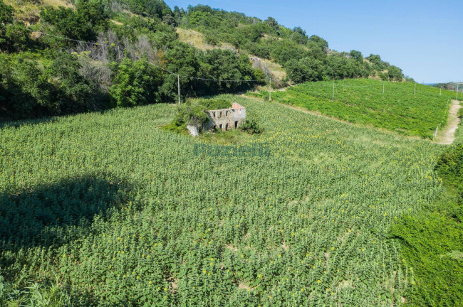 Casale in vendita a Montefiore dell'Aso