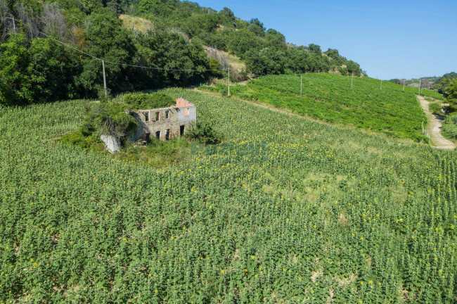 Casale in vendita a Montefiore dell'Aso