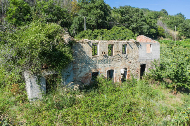 Casale in vendita a Montefiore dell'Aso