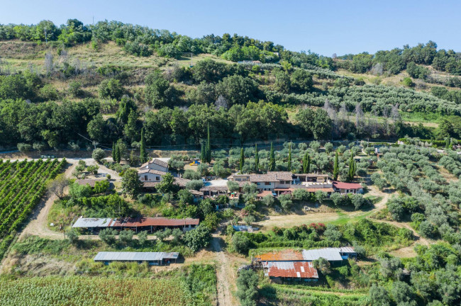 Casale in vendita a Montefiore dell'Aso