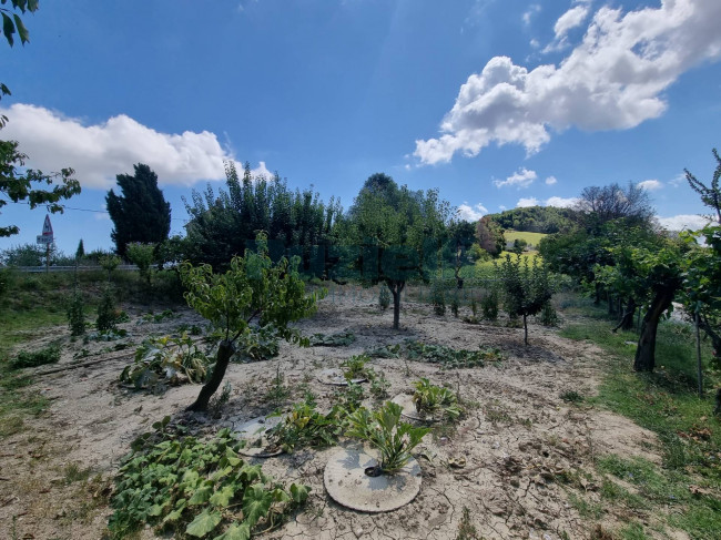  for sale in Monterubbiano