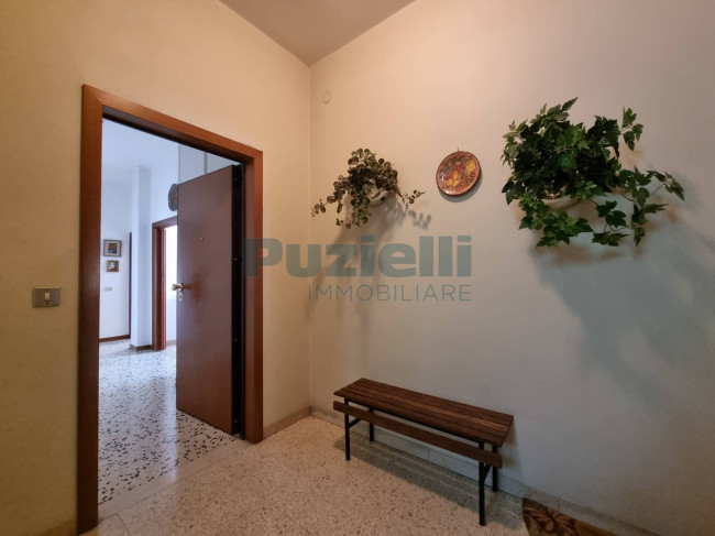  for sale in Fermo