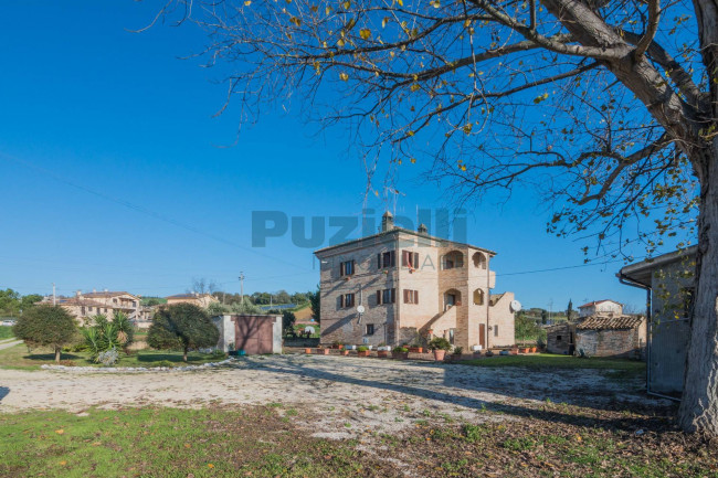  for sale in Fermo