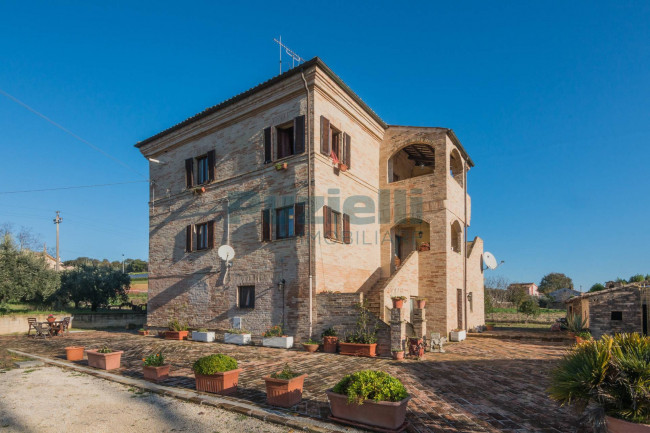  for sale in Fermo