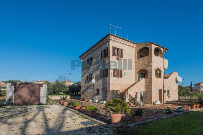  for sale in Fermo