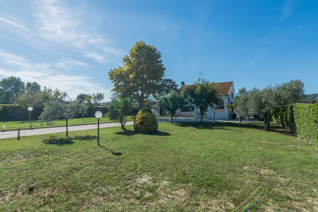 for sale in Fermo
