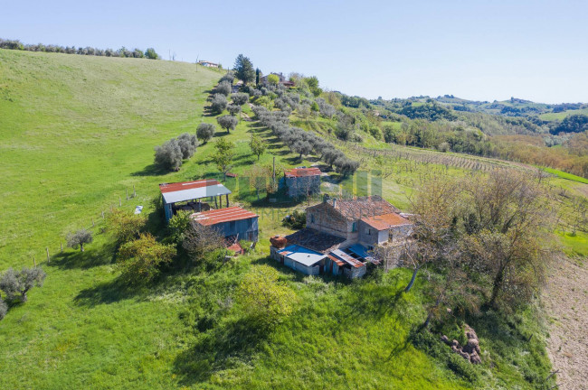 Casale in vendita a Monte Giberto