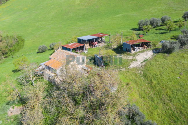 Casale in vendita a Monte Giberto