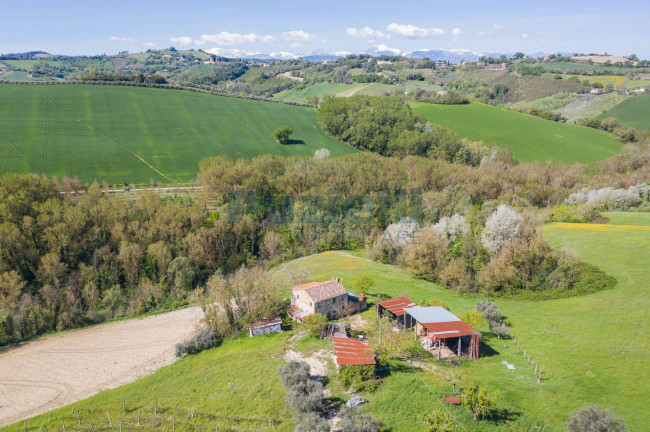 Casale in vendita a Monte Giberto