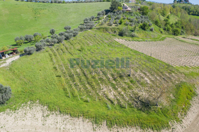 Casale in vendita a Monte Giberto