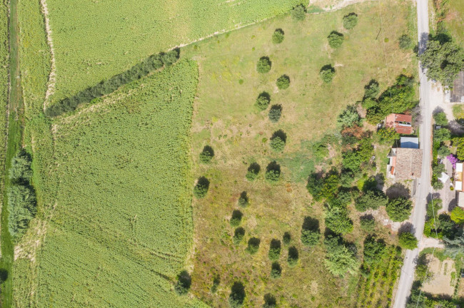 Casale in vendita a Montegiorgio