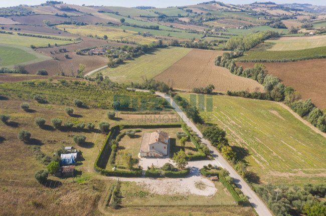  for sale in Fermo