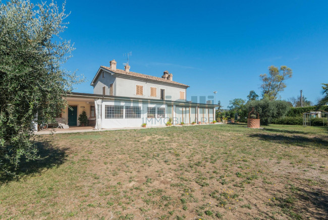  for sale in Fermo