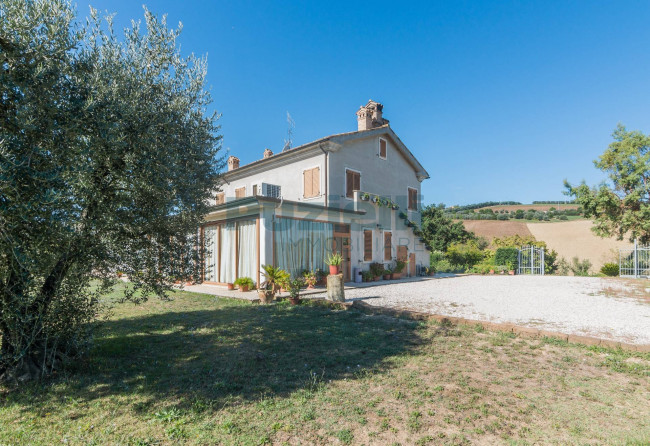  for sale in Fermo