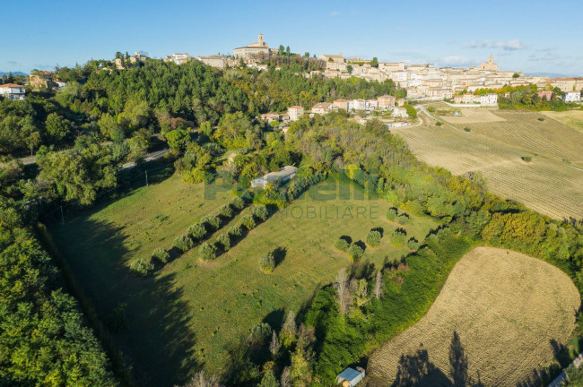 Casale in vendita a Montegiorgio