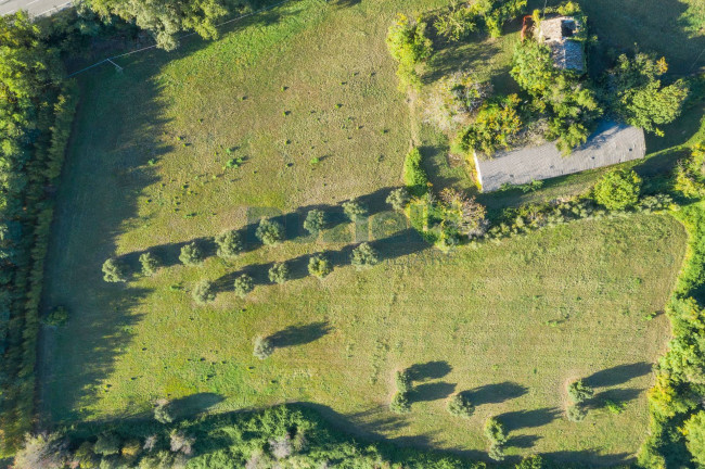 Casale in vendita a Montegiorgio