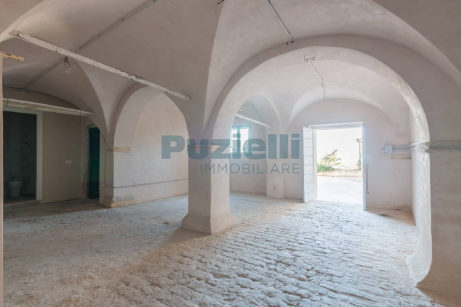  for sale in Fermo