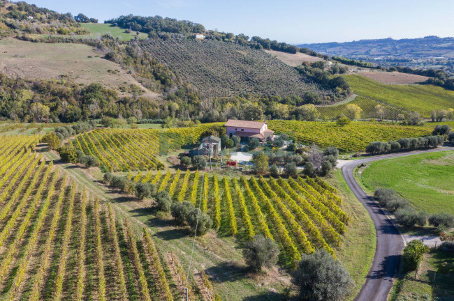 Rustico in vendita a Moresco