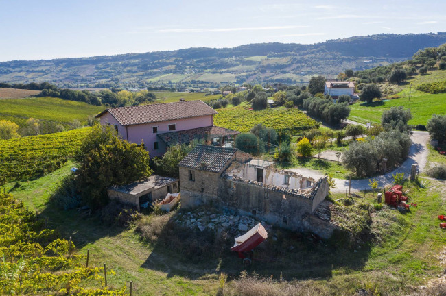  for sale in Moresco