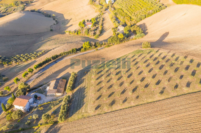  for sale in Fermo