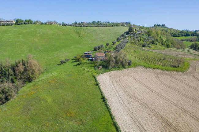 Casale in vendita a Monte Giberto