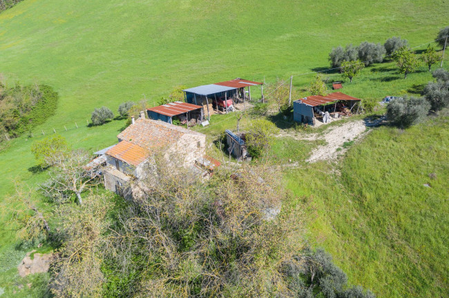 Casale in vendita a Monte Giberto