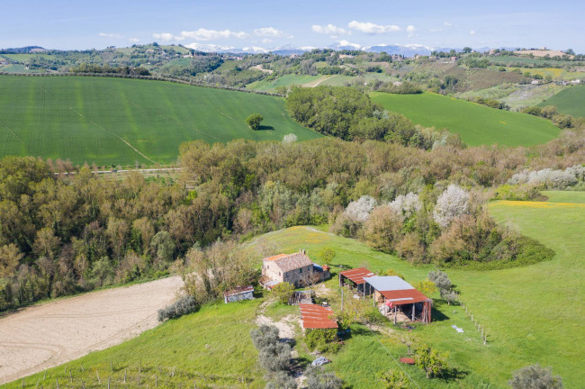 Casale in vendita a Monte Giberto