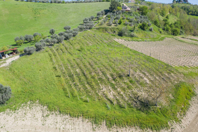 Casale in vendita a Monte Giberto