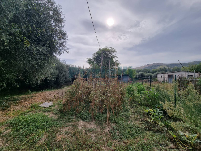 Appartamento in vendita a Monterubbiano