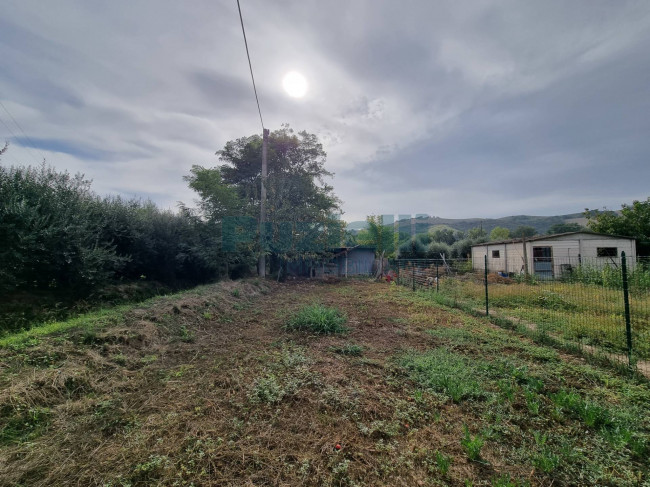  for sale in Monterubbiano