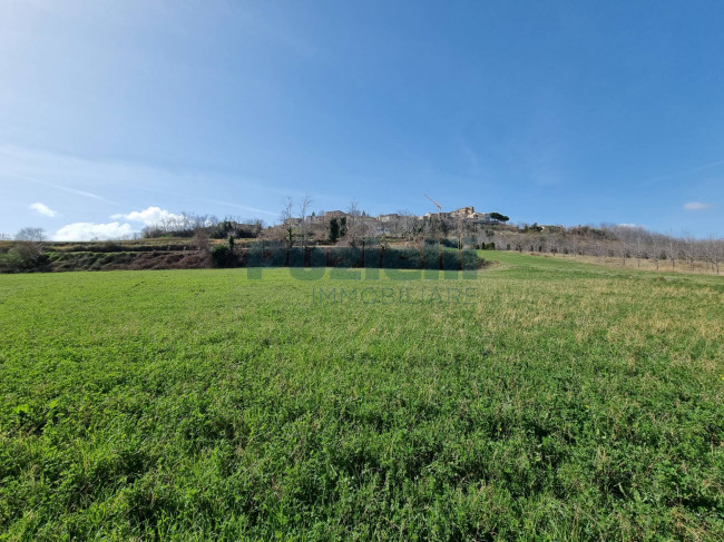 Casale in vendita a Santa Vittoria in Matenano