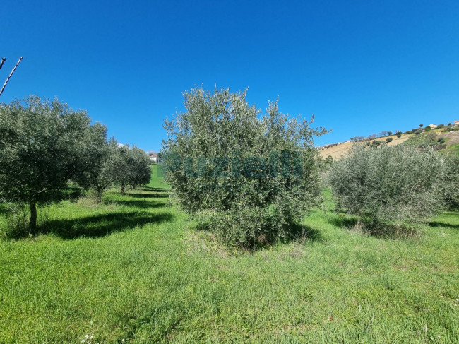 Casa singola in vendita a Sant'Elpidio a Mare