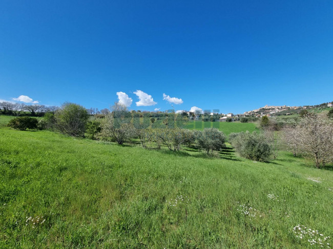 Casa singola in vendita a Sant'Elpidio a Mare