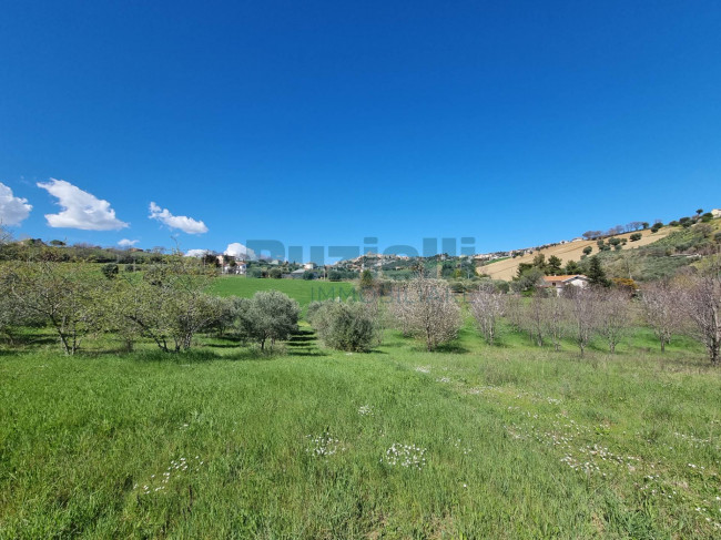 Casa singola in vendita a Sant'Elpidio a Mare