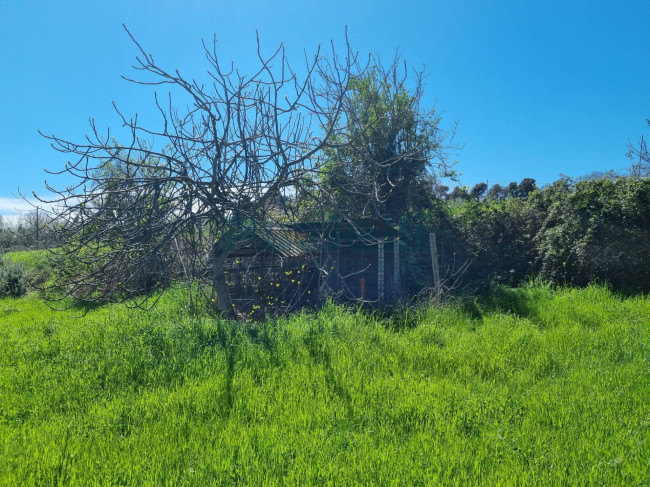 Casa singola in vendita a Sant'Elpidio a Mare